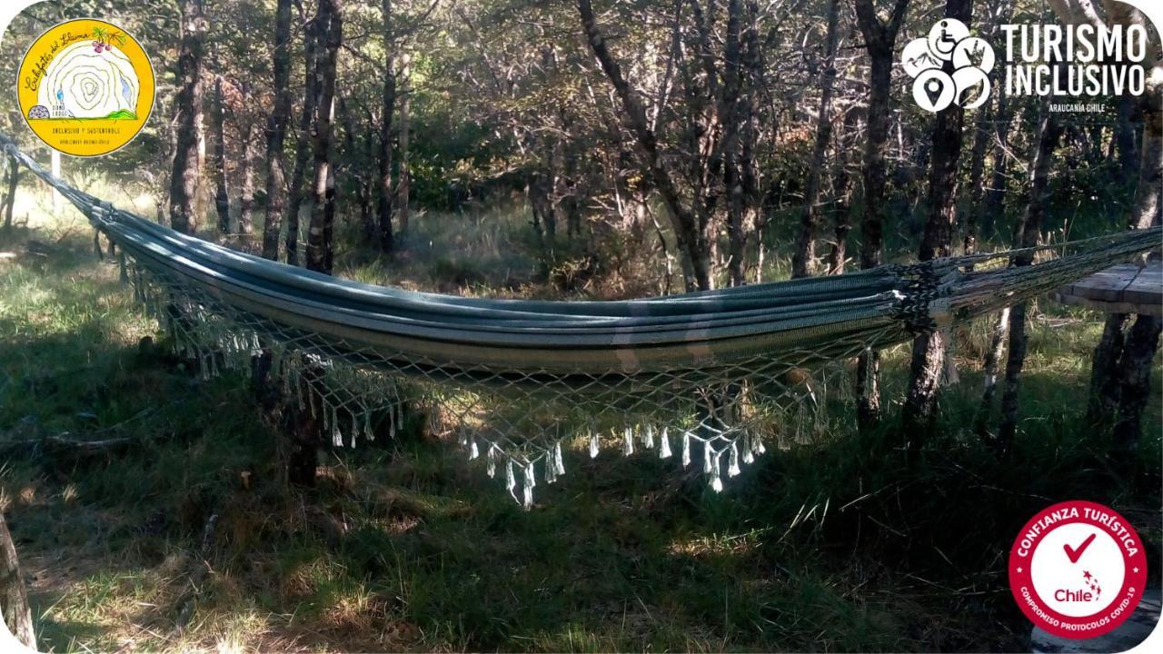 Centro Turistico Calafates Del Llaima Villa Parco Nazionale di Conguillío Esterno foto